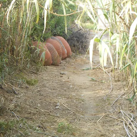 Apartament Naxos Garden *