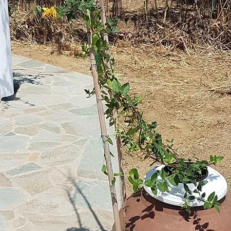 Naxos Garden דירה